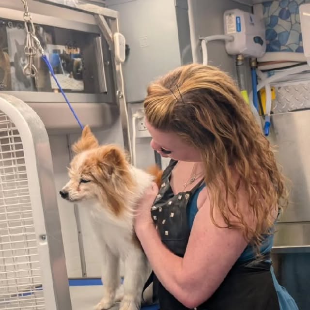 Amanda holding a tan and white dog inside the mobile grooming truck