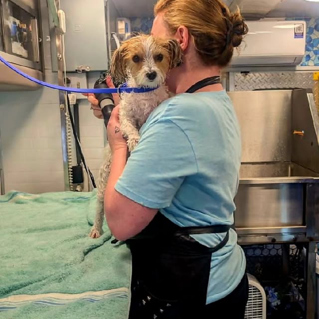 Amanda holding a small wet dog inside the mobile grooming truck
